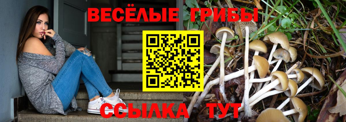 Галлюциногенные грибы Magic Shrooms Мурманск